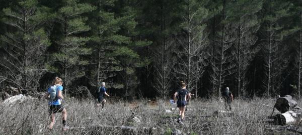 Woodhill Rogaine Runners
